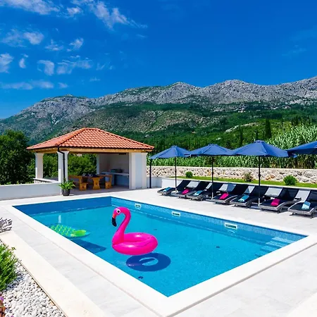 Amazing In With Wifi * Gruda